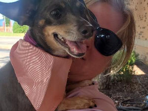 NHC Weekly Visits to Seniors