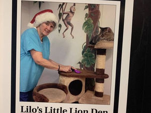 Cat + Kitten Room is Named in Memory