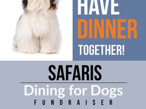 Dining For Dogs - Safaris
