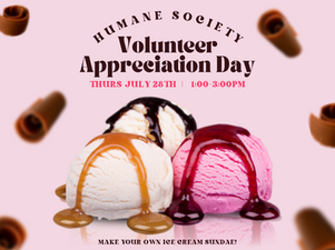 Volunteer Appreciation Day