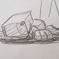 20190125_112041_edited.jpg