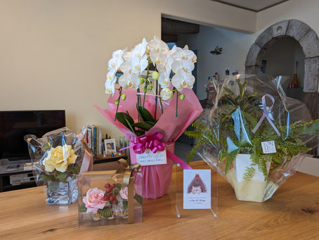 上尾市鍼灸のはりもぐ堂鍼灸院です｜院長.田澤真理