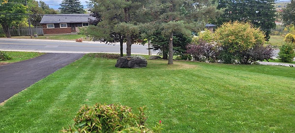 Freshly cut residential lawn in Peterborough, Ontario, maintained by Sean’s Lawns lawn mowing service.