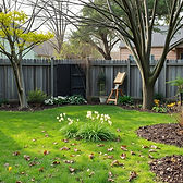 Spring Cleanup in Peterborough