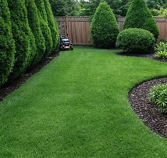 Professional lawn mowing service in Peterborough, Ontario