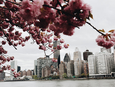 _clone__clone__clone_New_York_Spring.jpg