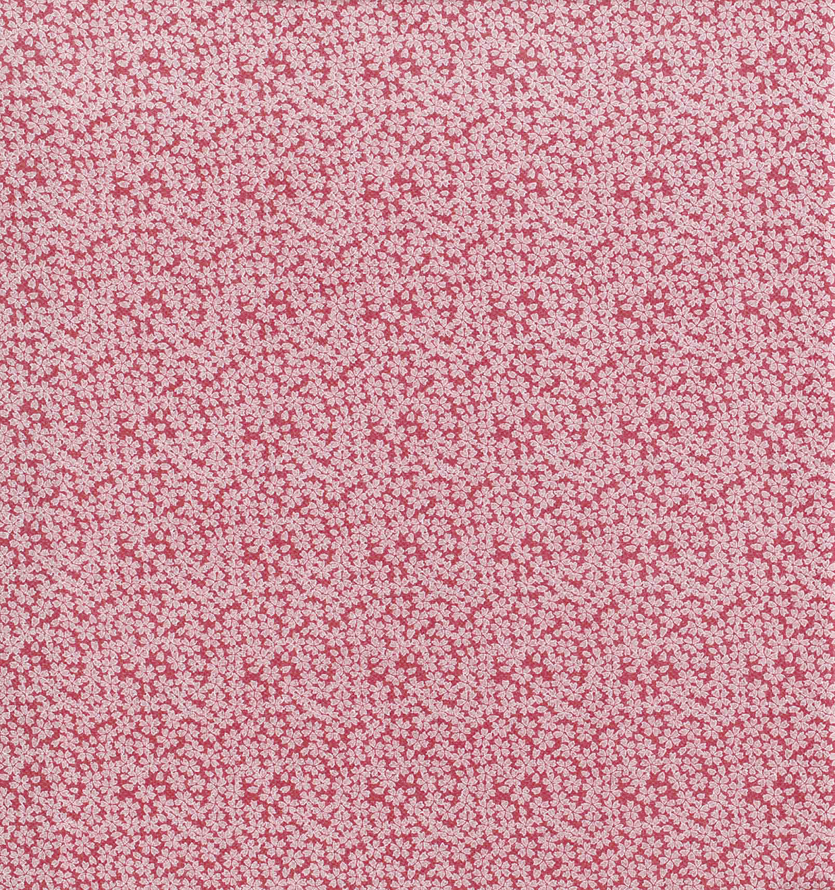 Image-empty-state_edited_edited_edited.j