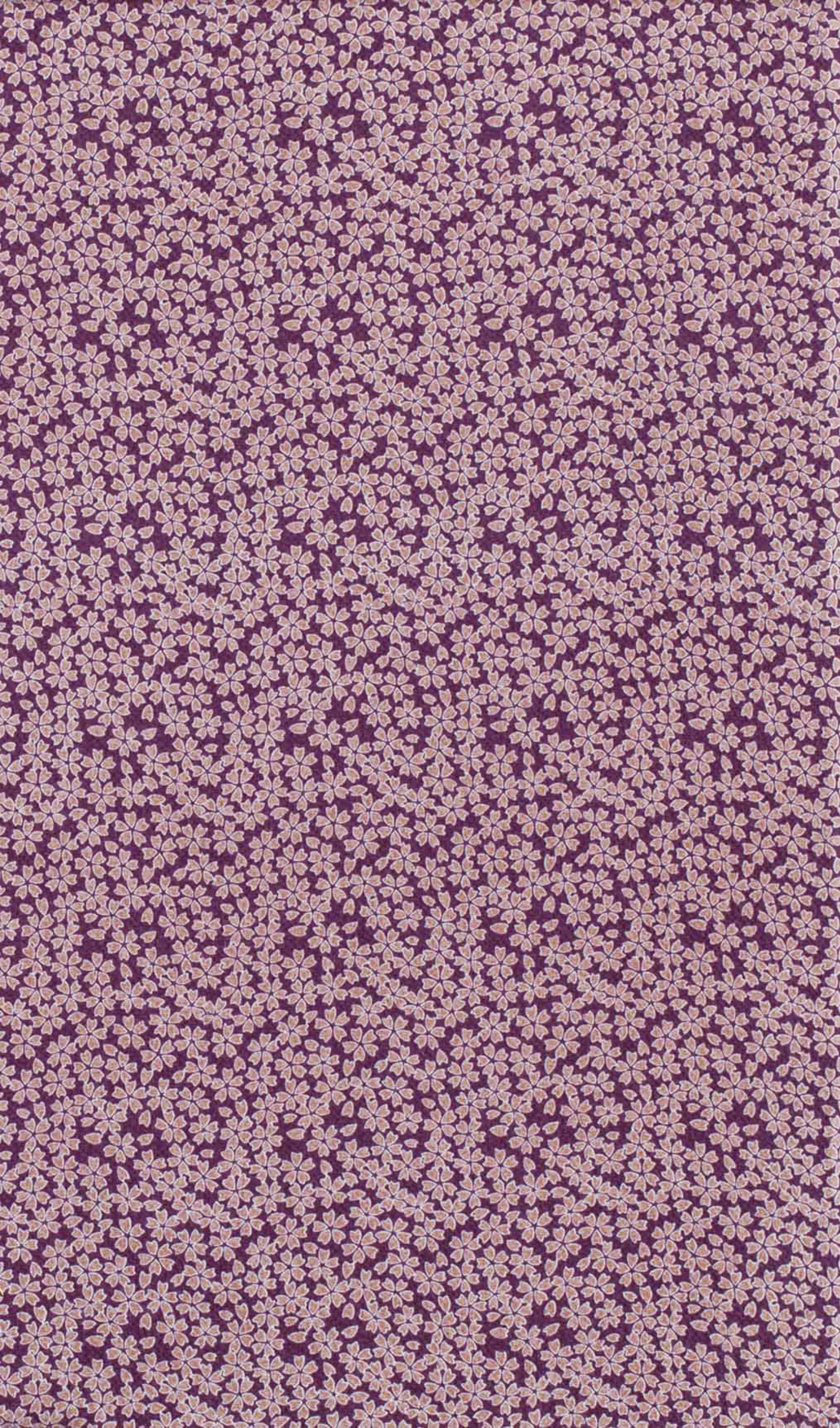 Image-empty-state_edited_edited_edited.j