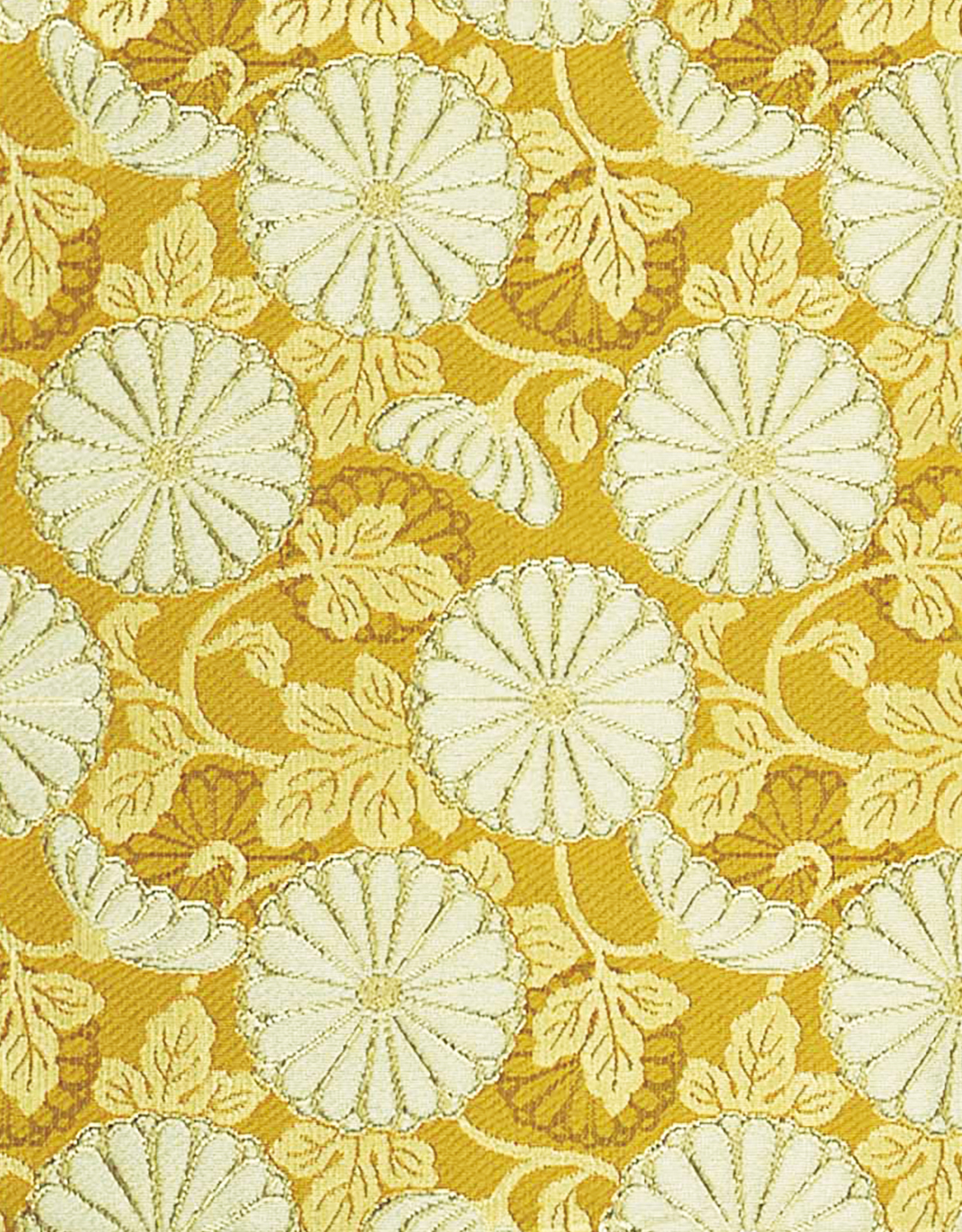 Image-empty-state_edited_edited_edited.j