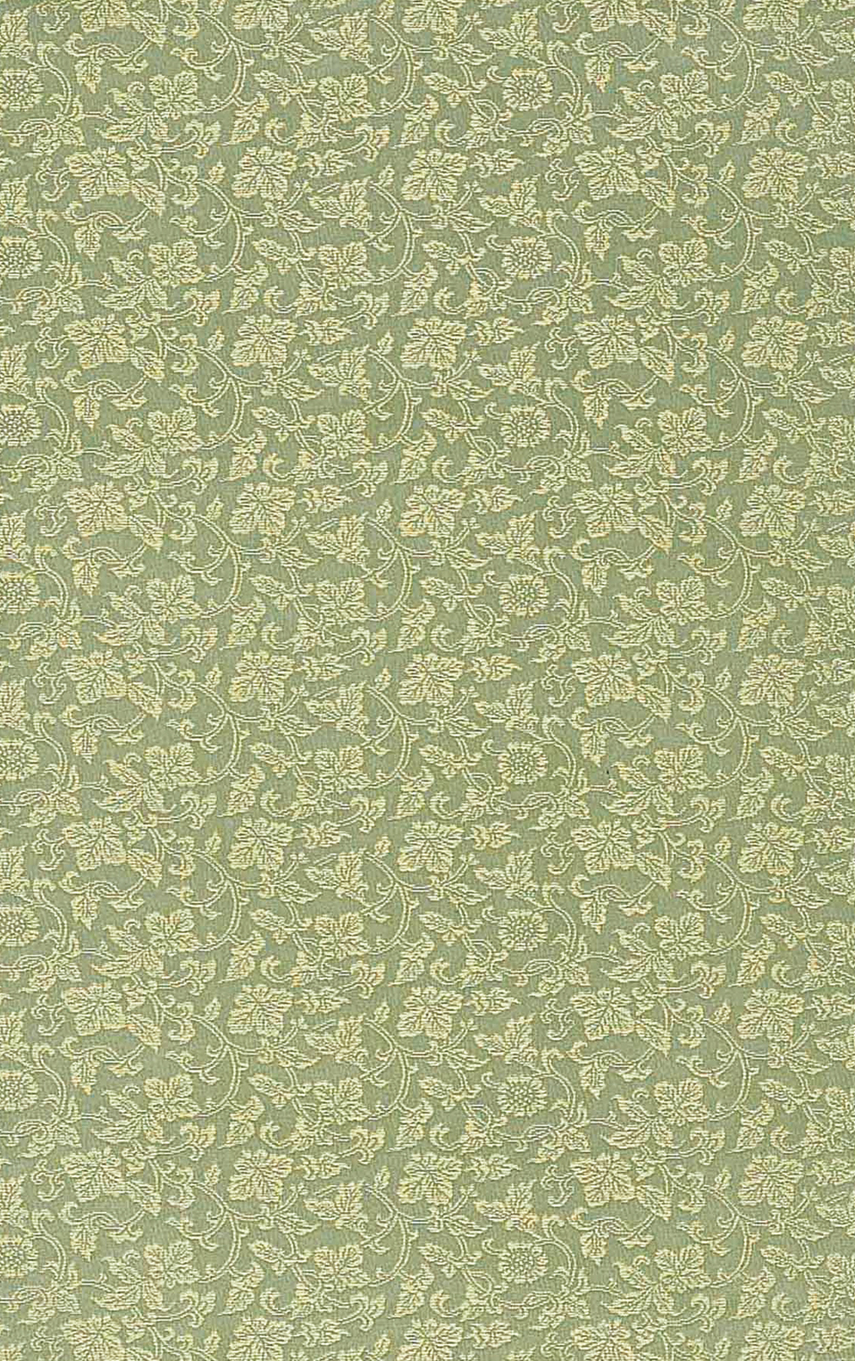 Image-empty-state_edited_edited_edited.j