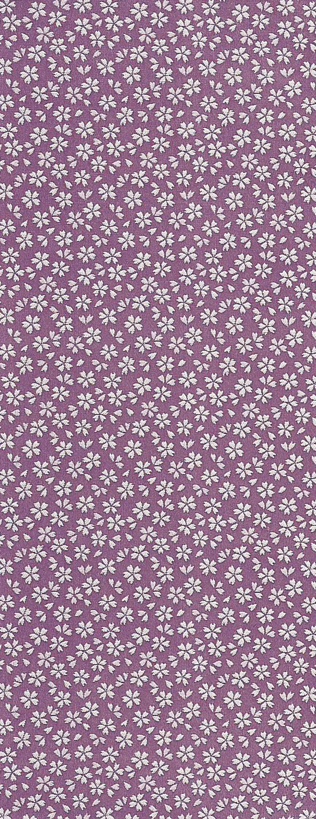 Image-empty-state_edited_edited_edited.j