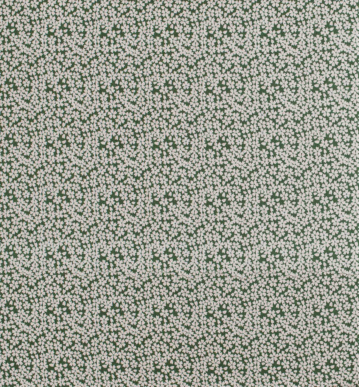 Image-empty-state_edited_edited_edited.j