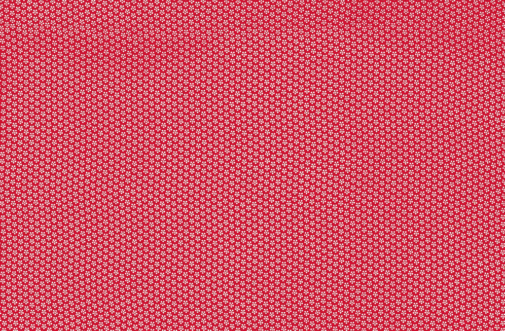 Image-empty-state_edited_edited_edited.j