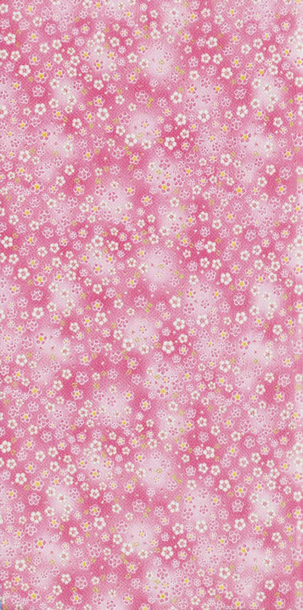 Image-empty-state_edited_edited_edited.j