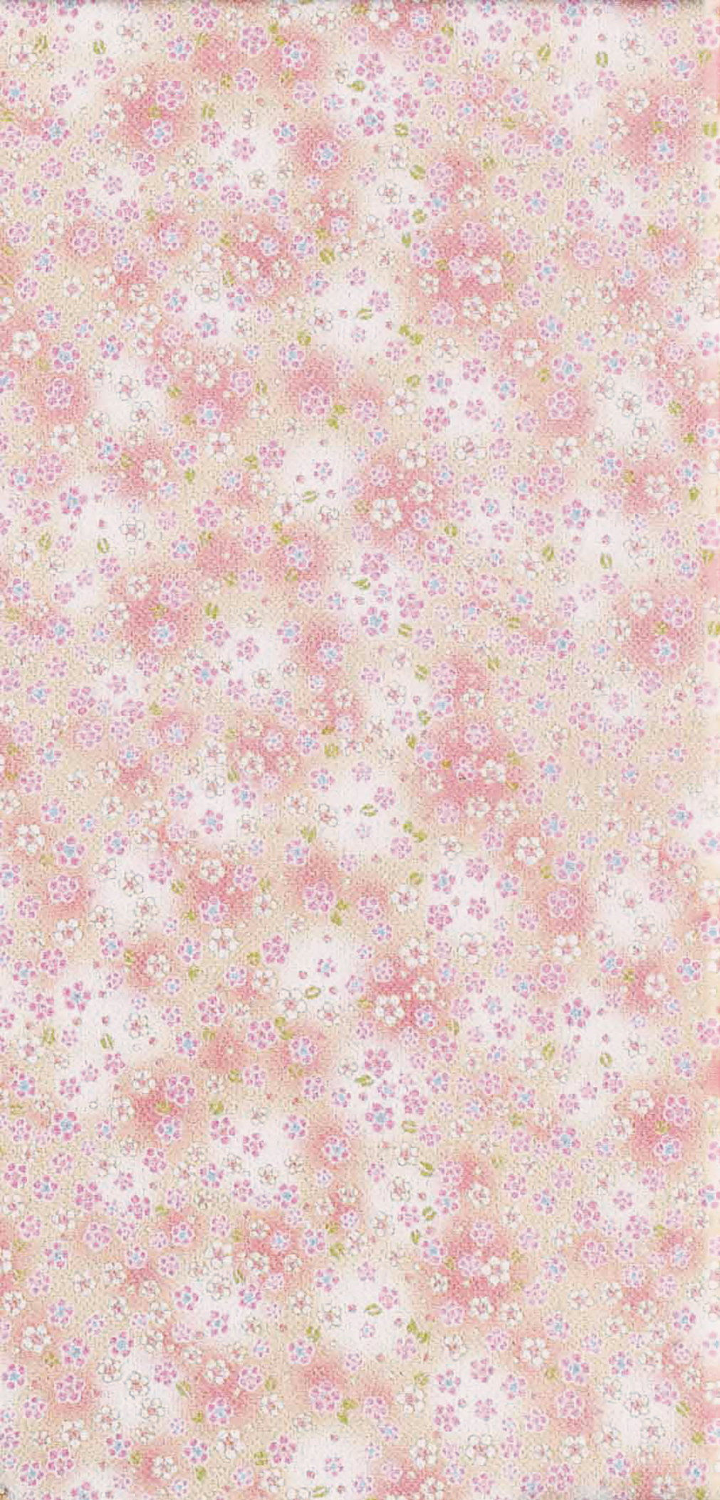 Image-empty-state_edited_edited_edited.j