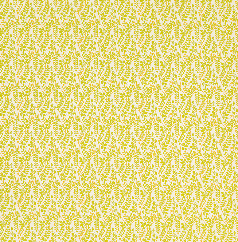 Image-empty-state_edited_edited_edited.j