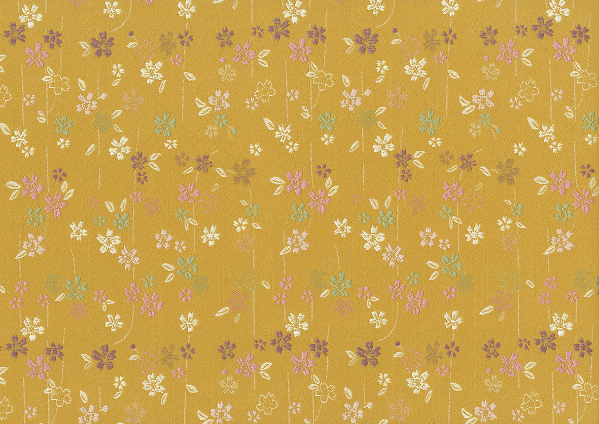 Image-empty-state_edited_edited_edited.j