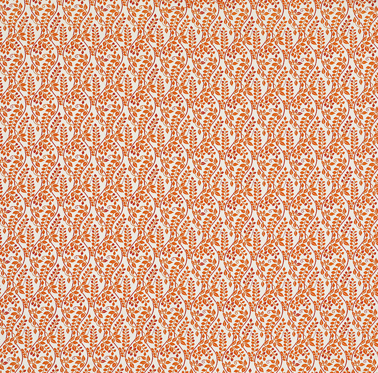 Image-empty-state_edited_edited_edited.j