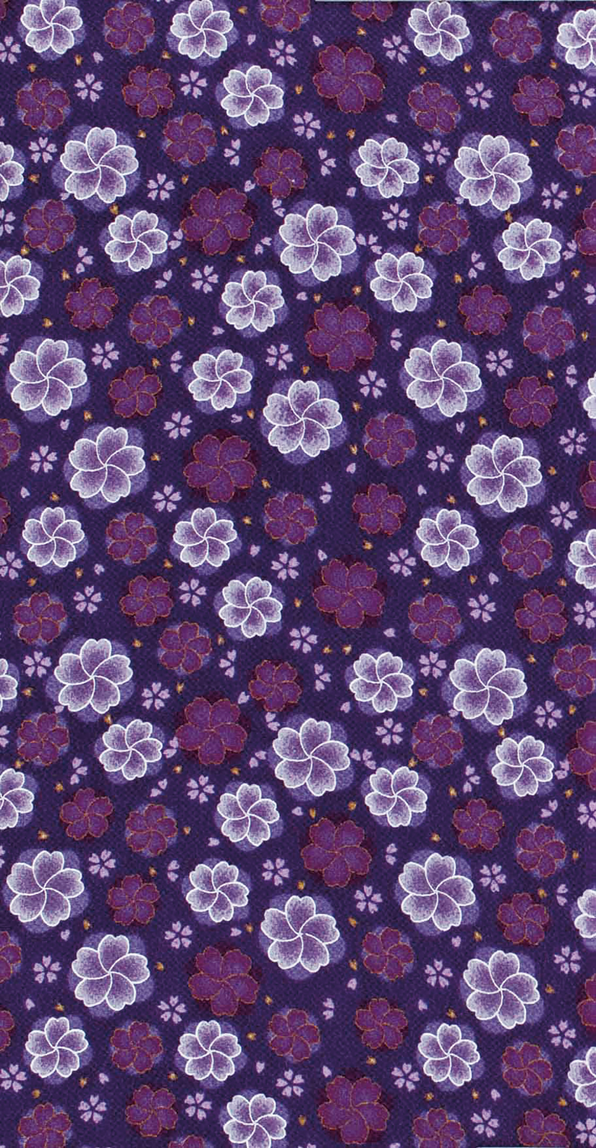 Image-empty-state_edited_edited_edited.j