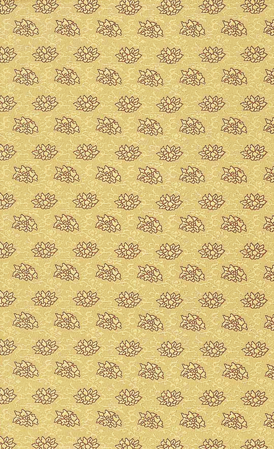 Image-empty-state_edited_edited_edited.j