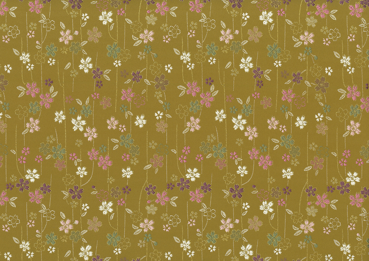 Image-empty-state_edited_edited_edited.j