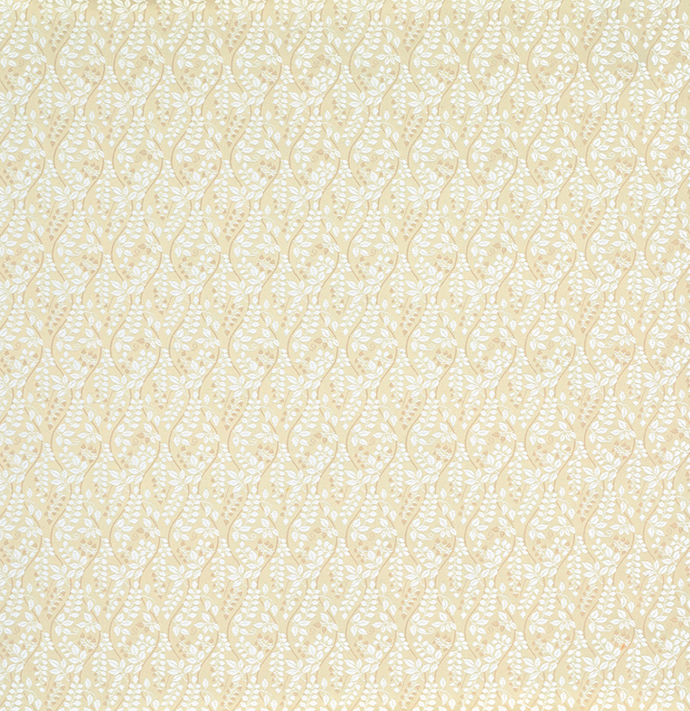 Image-empty-state_edited_edited_edited.j