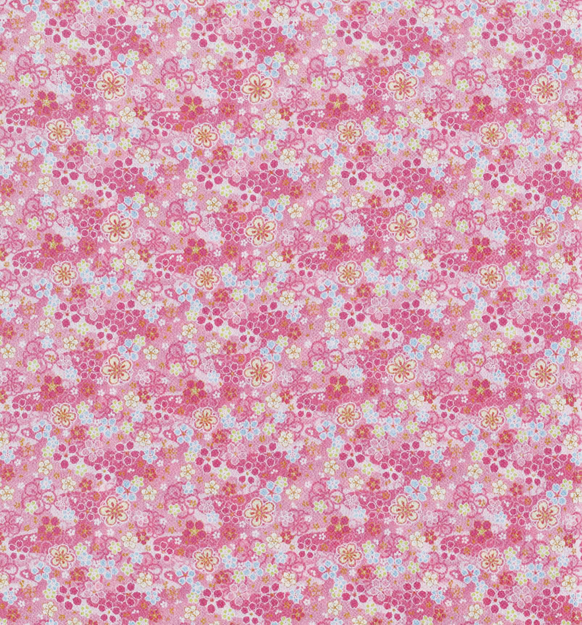 Image-empty-state_edited_edited_edited.j