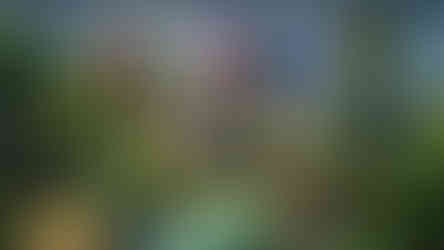 Collina Strada videogame