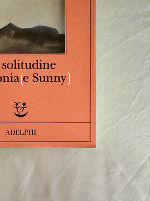 La “solitudine di genere” di Kiran Desai