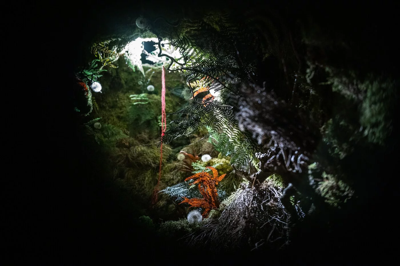 Alice Rohrwacher Bar Luna