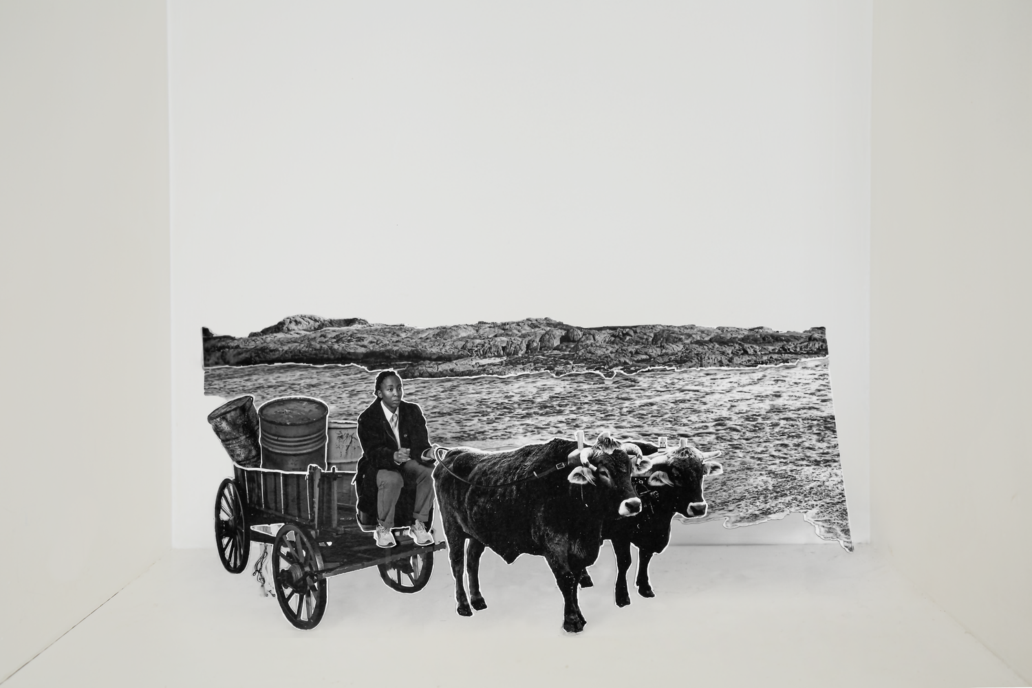 Ox wagons to deliver supplies (2022)