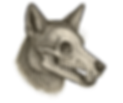 Untitled design (6).png