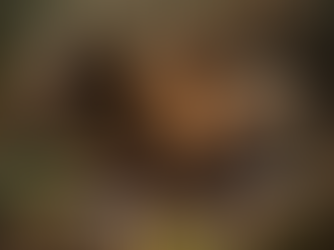 Boîtes thématiques