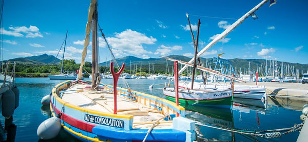 argeles sur mer.jpg