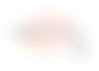 O Programa Baby Signs®