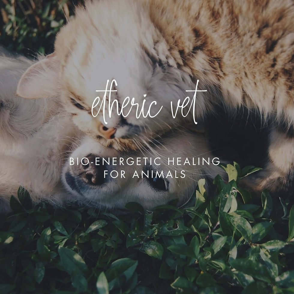 Thumbnail: Gift Card