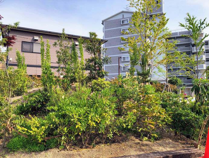 園庭づくり　雑木の庭