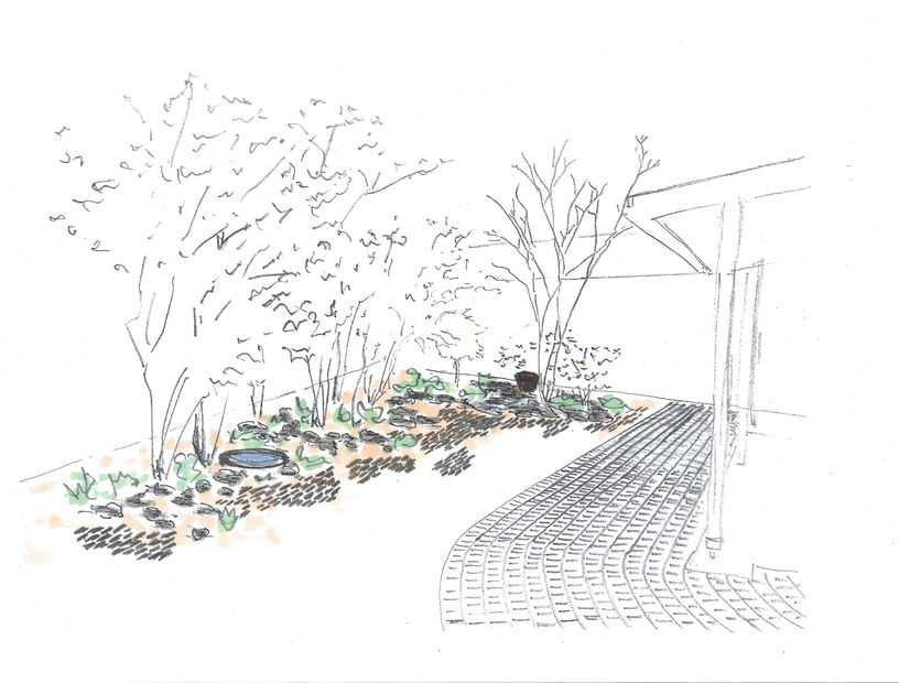 植栽　雑木の庭