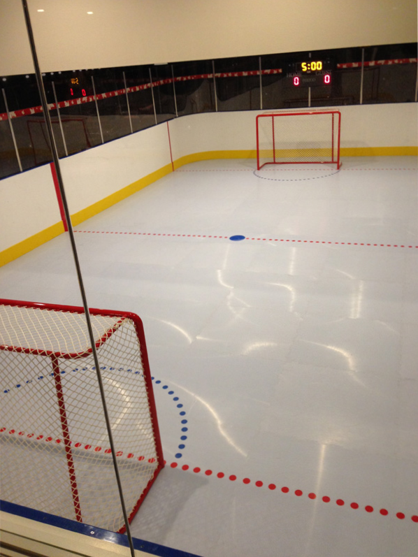 Home synthetic ice