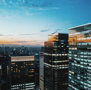 Spotlight: Wellington IT