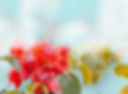 anh-nguyen-RAB9-mXLDXY-unsplash-whitened