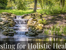 fasting-holistic-health