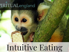 Monkey Intuitive Eating