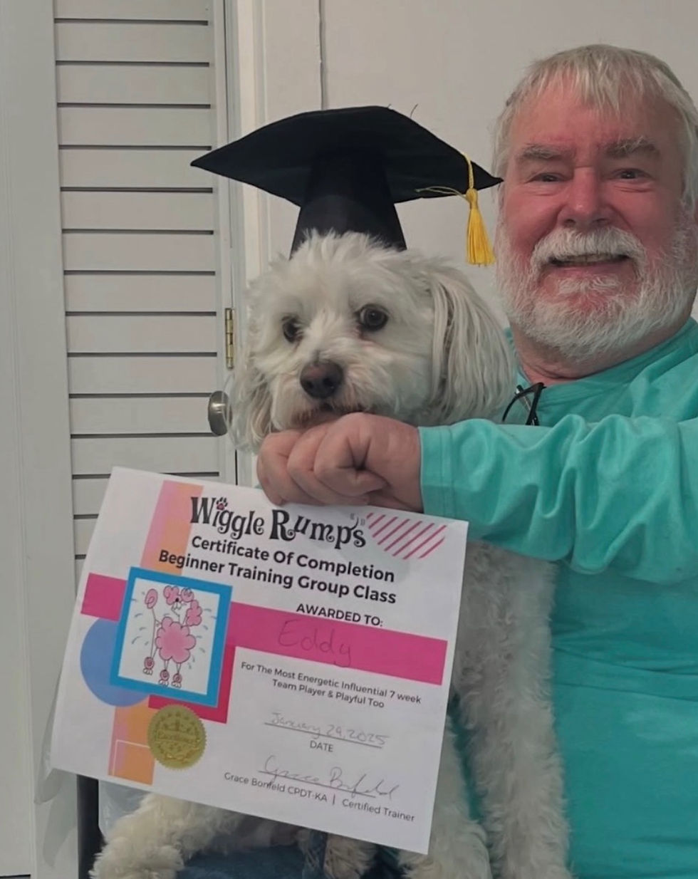 Wiggle Rumps Academy Graduation Day