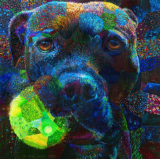Amenities. Love starts with a wet nose and ends with a wiggly tail at Classy Canine’s Wiggle Rumps