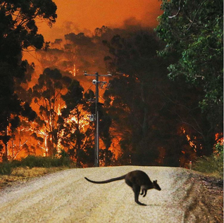 Photo by my hubby Aaron Francis Photo for The Australian