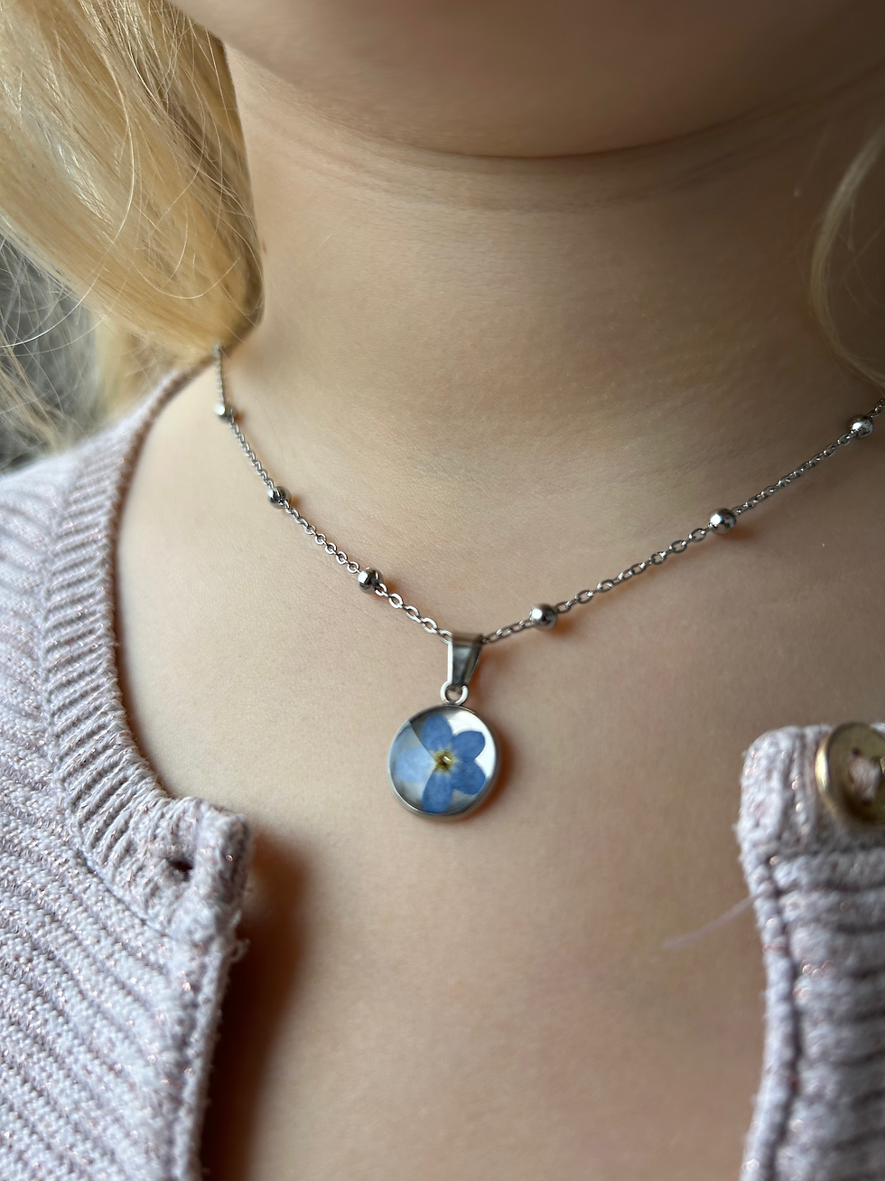 Miniature : Myosotis gracieux