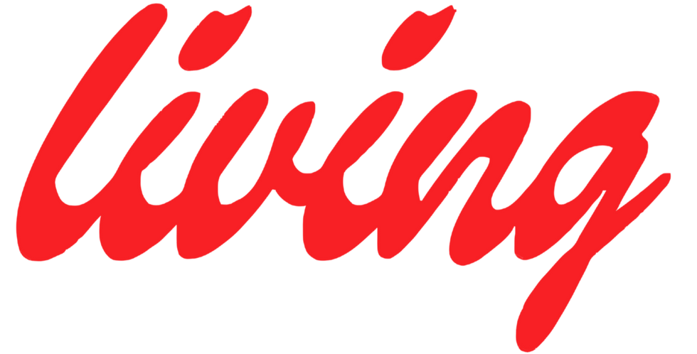 logog sans fodn _edited.png