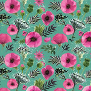Pink Poppies (Home Page).jpg