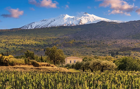 Casale 120 winery, Castiglione di Sicilia_sunrise_edited_edited_edited.jpg